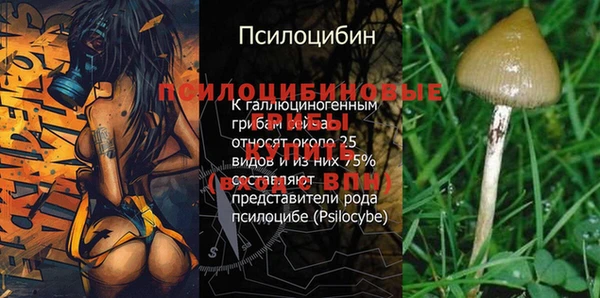 кокс Вяземский