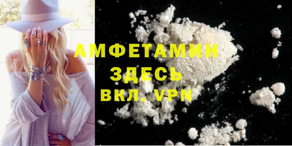 шишки Горнозаводск
