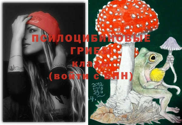 гашик Горно-Алтайск