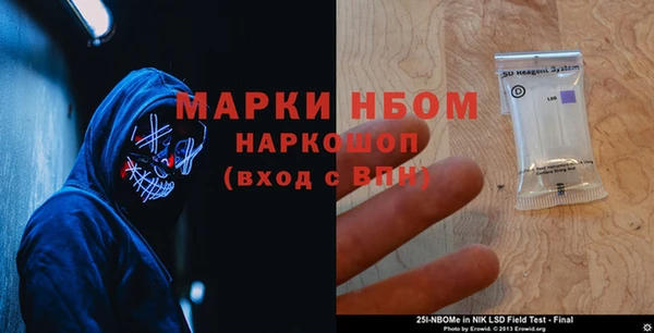 шишки Горнозаводск